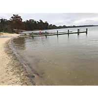 Williamsburg/James Cty King Tide image